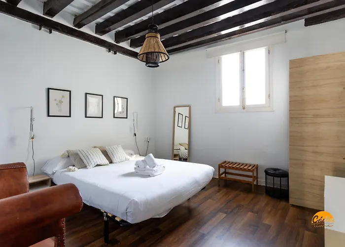 Diana De Columela By Time Apartment